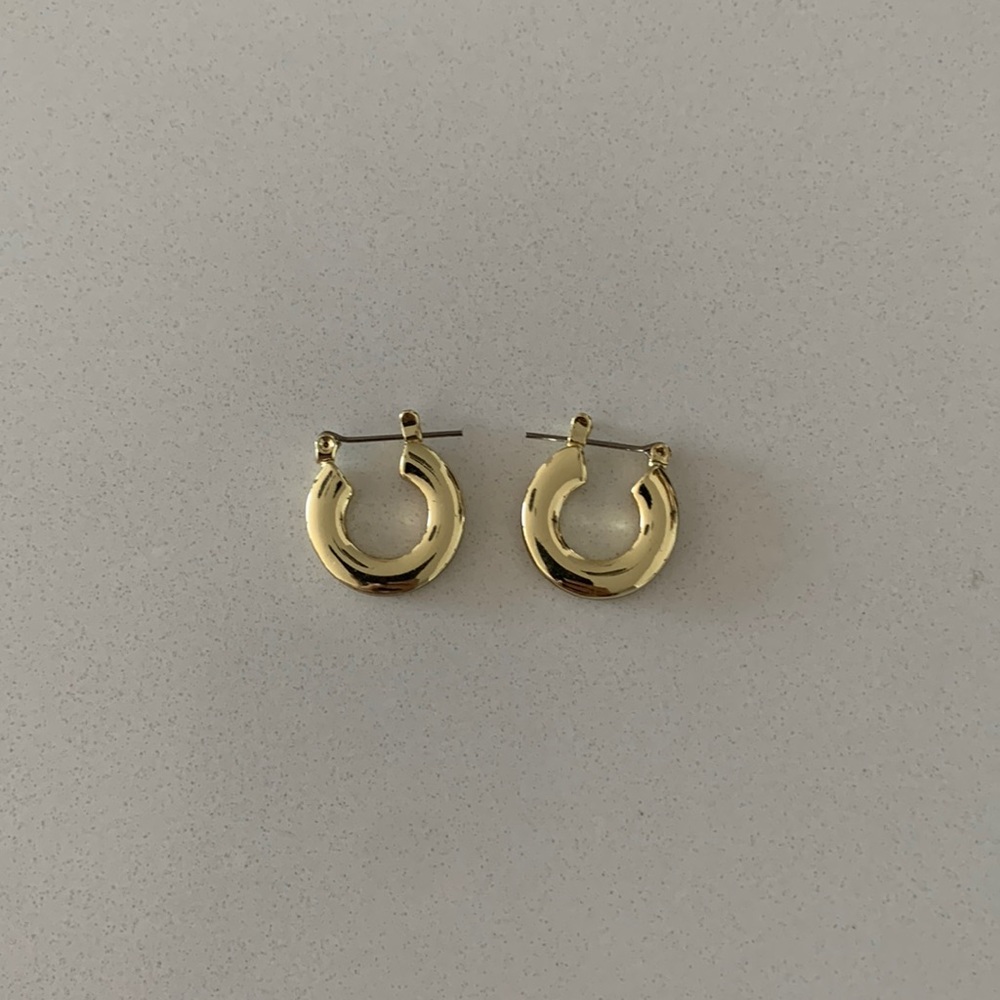 Hoop Earrings